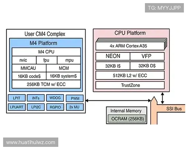 华体会平台多元化功能模块全面解析满足不同玩家的多样需求